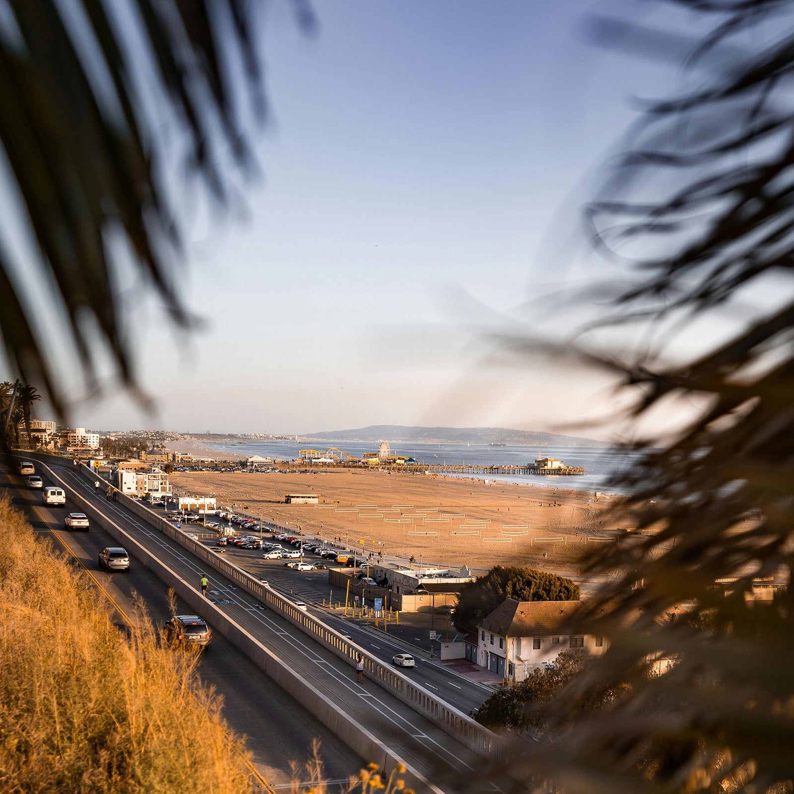 Santa_monica_Hidden_view_from_forest_on_beach