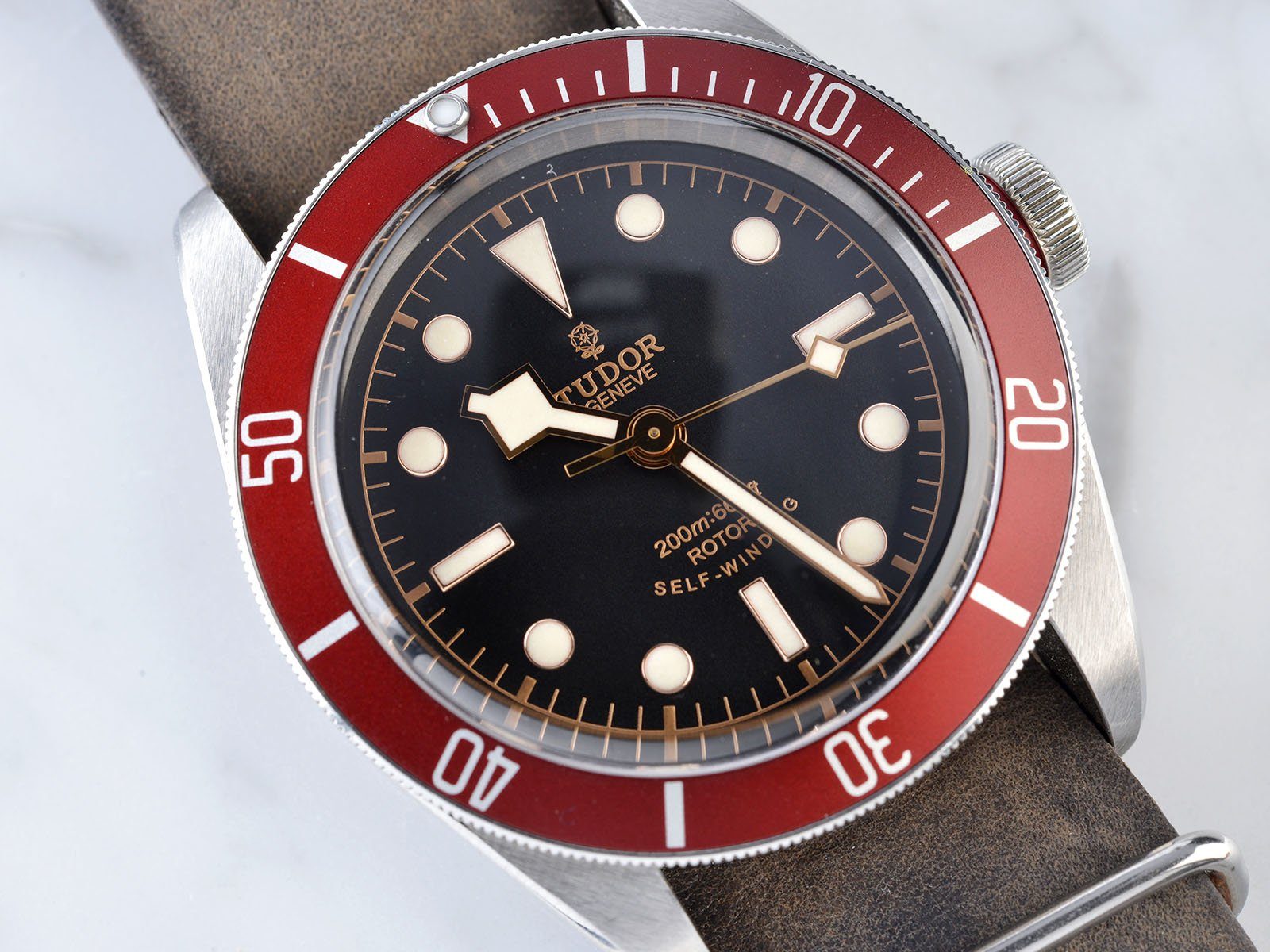 TUDOR HERITAGE BLACK BAY 79220R